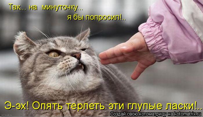 Так... на минуточку... я бы попросил!.. Э-эх! Опять терпеть эти глупые ласки!..... Котоматрица: Так... на минуточку... я бы попросил!.. Э-эх! Опять терпеть эти глупые ласки!..