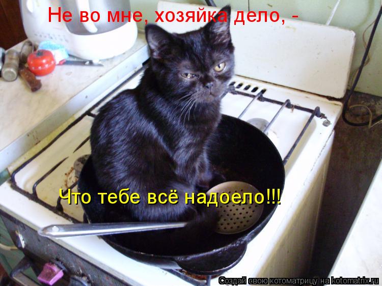 Не во мне, хозяйка дело, - Что тебе всё надоело!!!... Котоматрица: Не во мне, хозяйка дело, - Что тебе всё надоело!!!