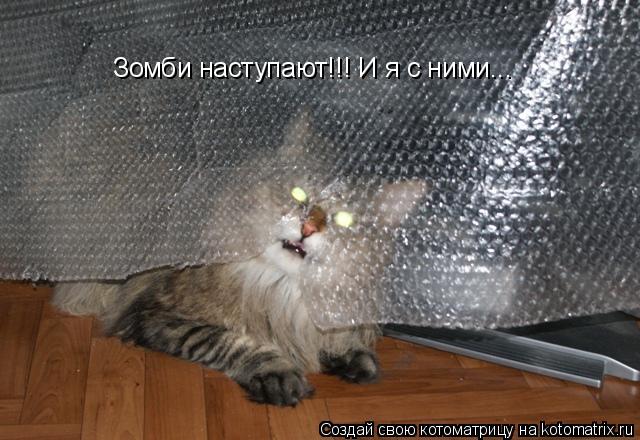 Зомби наступают!!! И я с ними...... Котоматрица: Зомби наступают!!! И я с ними...