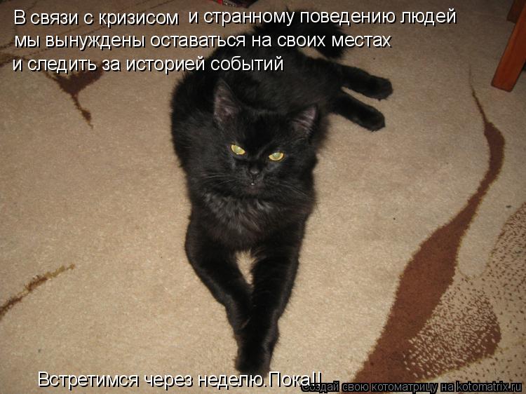 В связи с кризисом и странному поведению людей мы вынуждены оставаться на своих местах и следить за и... Котоматрица: В связи с кризисом и странному поведению людей мы вынуждены оставаться на своих местах и следить за историей событий Встретимся через неде
