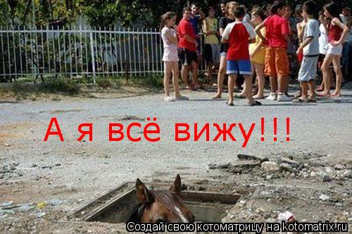 А я всё вижу!!!... Котоматрица: А я всё вижу!!!
