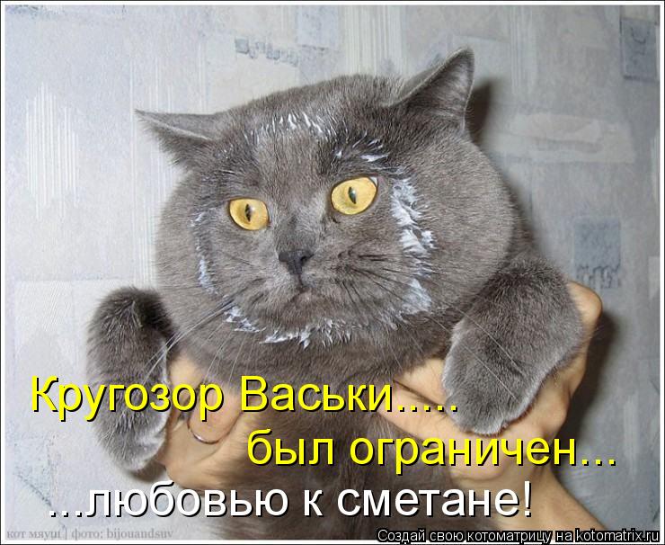 ...любовью к сметане! был ограничен... Кругозор Васьки........ Котоматрица: ...любовью к сметане! был ограничен... Кругозор Васьки.....