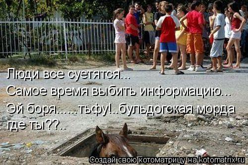Люди все суетятся... Самое время выбить информацию... Эй боря......тьфу!..бульдогская морда где ты??.... Котоматрица: Люди все суетятся... Самое время выбить информацию... Эй боря......тьфу!..бульдогская морда где ты??..