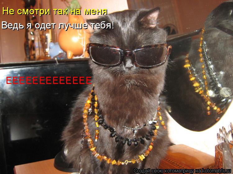Не смотри так на меня Ведь я одет лучше тебя! ЕЕЕЕЕЕЕЕЕЕЕЕЕ... Котоматрица: Не смотри так на меня Ведь я одет лучше тебя! ЕЕЕЕЕЕЕЕЕЕЕЕЕ