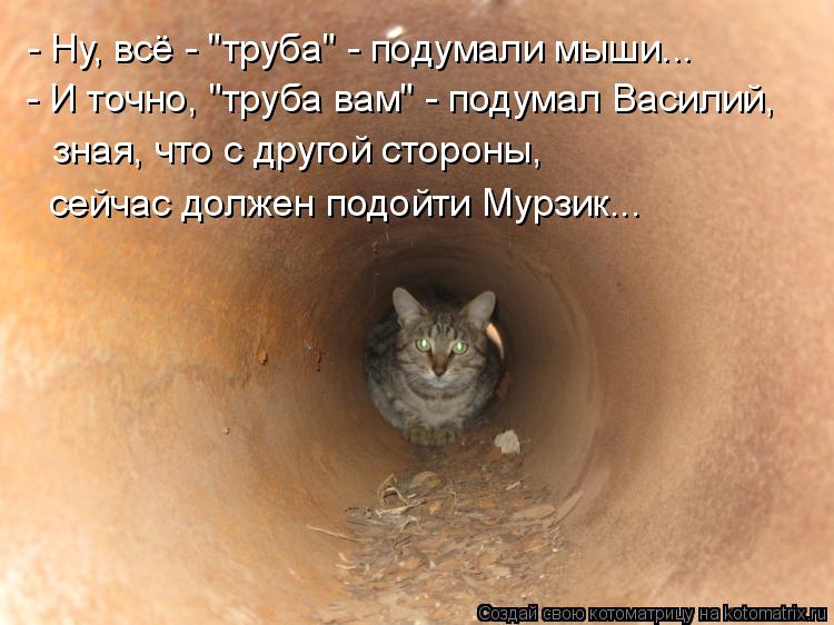 - Ну, всё - "труба" - подумали мыши... - И точно, "труба вам" - подумал Василий, зная, что с другой с... Котоматрица: - Ну, всё - "труба" - подумали мыши... - И точно, "труба вам" - подумал Василий, зная, что с другой стороны, сейчас должен подойти Мурзик...