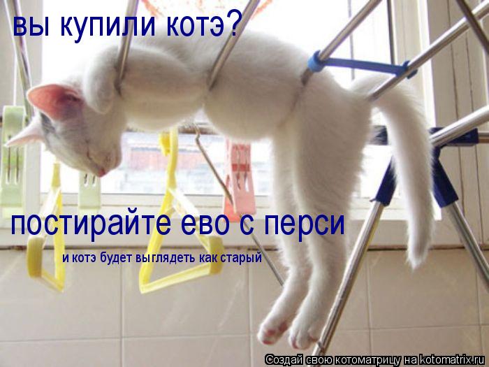вы купили котэ? постирайте ево с перси и котэ будет выглядеть как старый... Котоматрица: вы купили котэ? постирайте ево с перси и котэ будет выглядеть как старый
