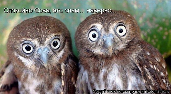 Спокойно Сова, это спам... наверно...... Котоматрица: Спокойно Сова, это спам... наверно...
