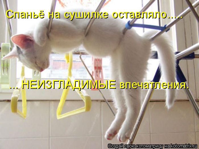 Спаньё на сушилке оставляло..... ... НЕИЗГЛАДИМЫЕ впечатления.... Котоматрица: Спаньё на сушилке оставляло..... ... НЕИЗГЛАДИМЫЕ впечатления.