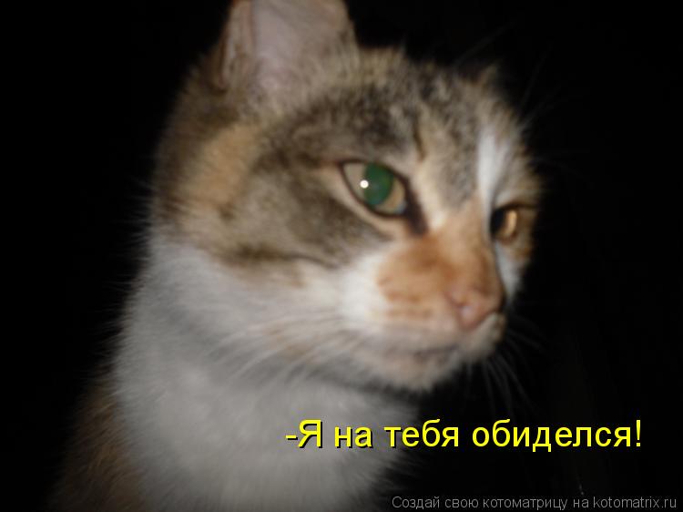 -Я на тебя обиделся!... Котоматрица: -Я на тебя обиделся!