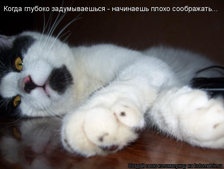 Когда глубоко задумываешься - начинаешь плохо соображать...... Котоматрица: Когда глубоко задумываешься - начинаешь плохо соображать...