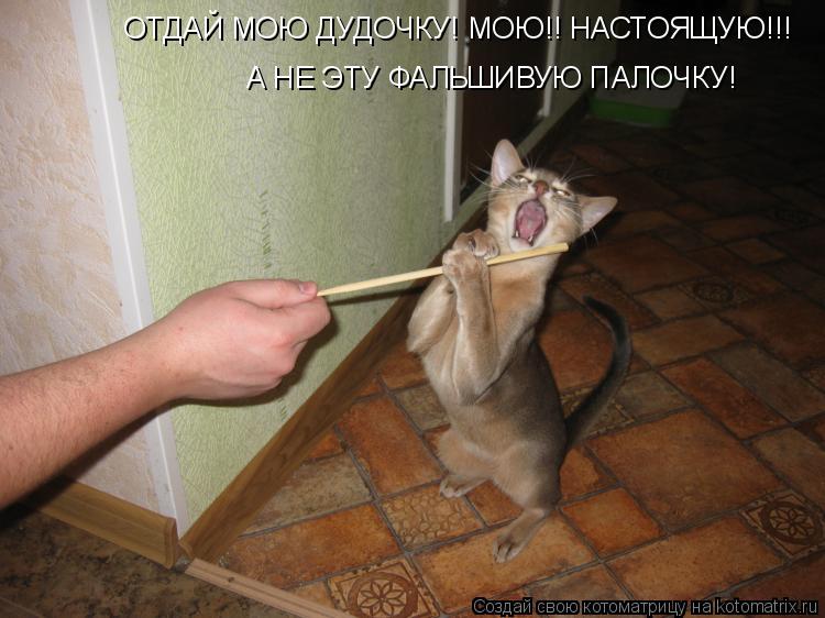 ОТДАЙ МОЮ ДУДОЧКУ! МОЮ!! НАСТОЯЩУЮ!!! А НЕ ЭТУ ФАЛЬШИВУЮ ПАЛОЧКУ!... Котоматрица: ОТДАЙ МОЮ ДУДОЧКУ! МОЮ!! НАСТОЯЩУЮ!!! А НЕ ЭТУ ФАЛЬШИВУЮ ПАЛОЧКУ!