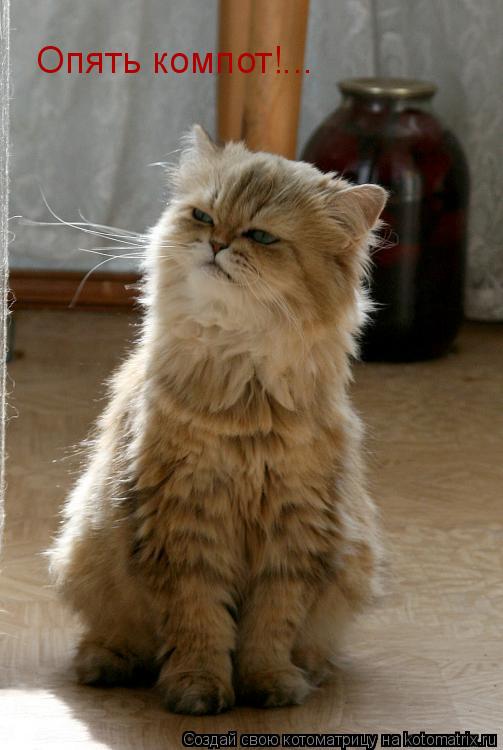Опять компот!...... Котоматрица: Опять компот!...