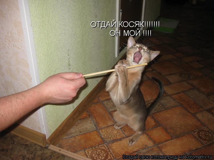 ОТДАЙ КОСЯК!!!!!!! ОН МОЙ !!!!... Котоматрица: ОТДАЙ КОСЯК!!!!!!! ОН МОЙ !!!!