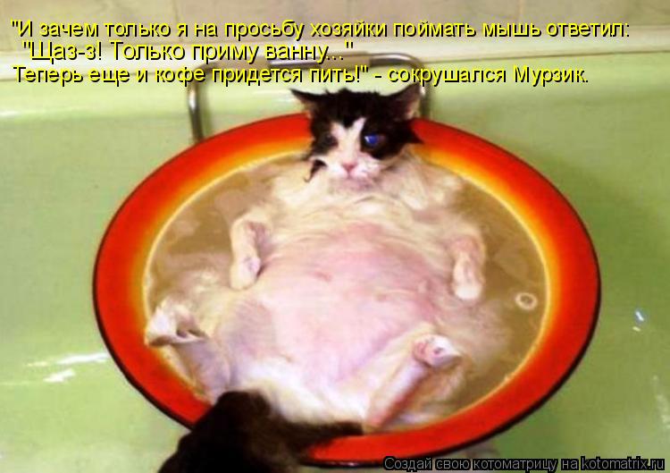 Теперь еще и кофе придется пить!" - сокрушался Мурзик. "Щаз-з! Только приму ванну..." "И зачем тольк... Котоматрица: Теперь еще и кофе придется пить!" - сокрушался Мурзик. "Щаз-з! Только приму ванну..." "И зачем только я на просьбу хозяйки поймать мышь ответил: