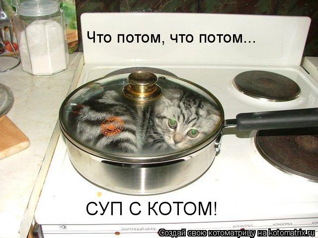 Что потом, что потом... СУП С КОТОМ!... Котоматрица: Что потом, что потом... СУП С КОТОМ!