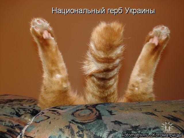 Национальный герб Украины... Котоматрица: Национальный герб Украины