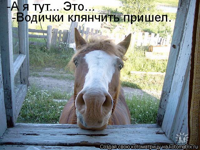 -А я тут... Это... -Водички клянчить пришел.... Котоматрица: -А я тут... Это... -Водички клянчить пришел.