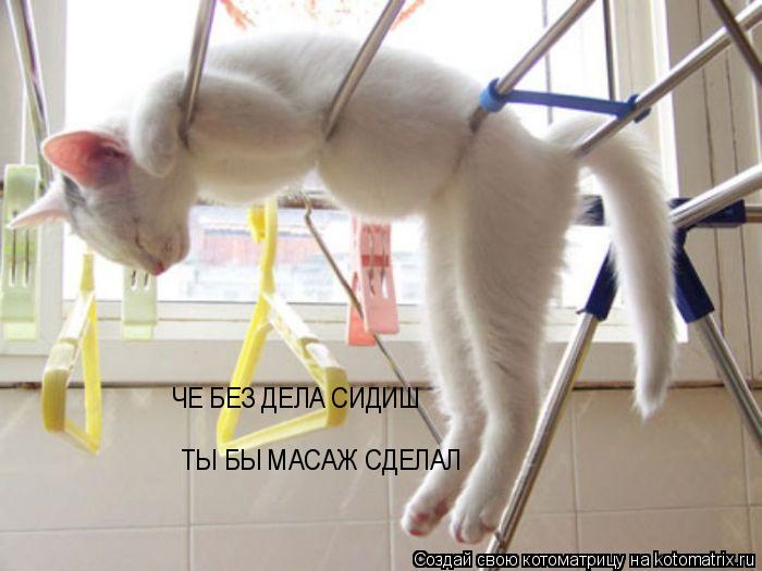 ТЫ БЫ МАСАЖ СДЕЛАЛ ЧЕ БЕЗ ДЕЛА СИДИШ... Котоматрица: ТЫ БЫ МАСАЖ СДЕЛАЛ ЧЕ БЕЗ ДЕЛА СИДИШ