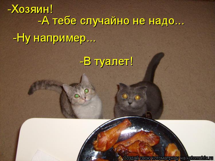 -Хозяин! -А тебе случайно не надо... -Ну например... -В туалет!... Котоматрица: -Хозяин! -А тебе случайно не надо... -Ну например... -В туалет!