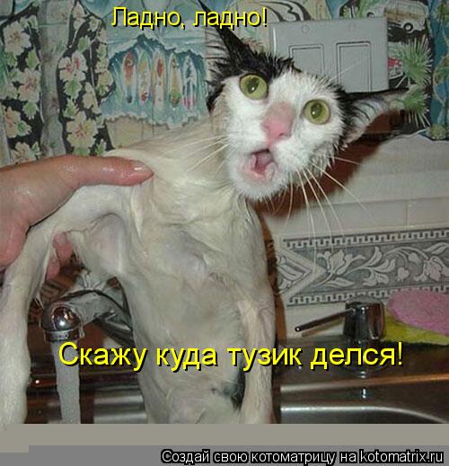 Ладно, ладно! Скажу куда тузик делся!... Котоматрица: Ладно, ладно! Скажу куда тузик делся!