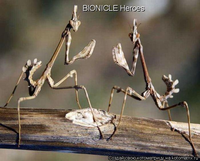 BIONICLE Heroes... Котоматрица: BIONICLE Heroes