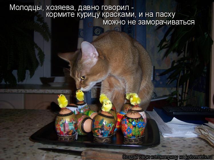 Молодцы, хозяева, давно говорил - кормите курицу красками, и на пасху можно не заморачиваться... Котоматрица: Молодцы, хозяева, давно говорил - кормите курицу красками, и на пасху можно не заморачиваться