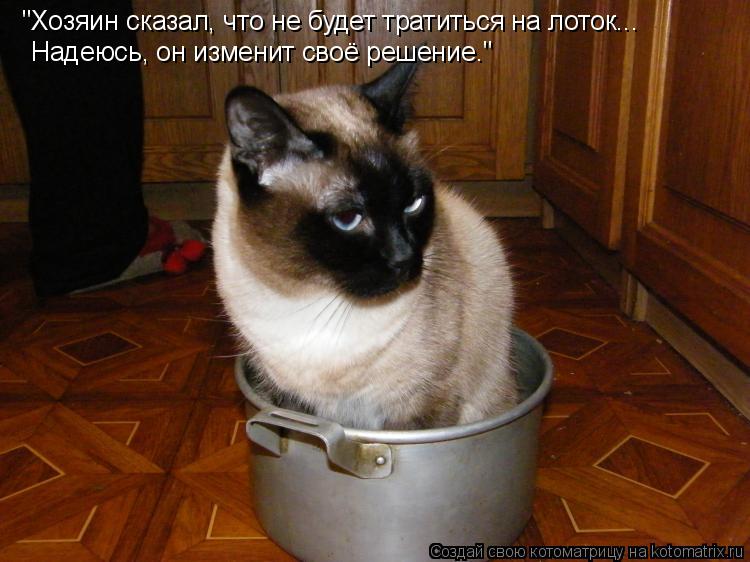 "Хозяин сказал, что не будет тратиться на лоток... Надеюсь, он изменит своё решение."... Котоматрица: "Хозяин сказал, что не будет тратиться на лоток... Надеюсь, он изменит своё решение."