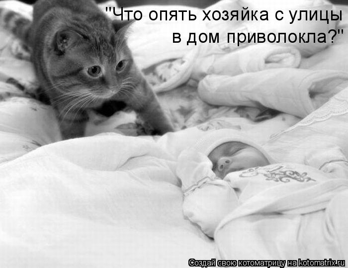 "Что опять хозяйка с улицы в дом приволокла?"... Котоматрица: "Что опять хозяйка с улицы в дом приволокла?"