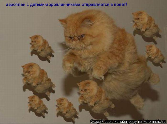 аэроплан с детьми-аэропланчиками отправляется в полёт! аэроплан с детьми-аэропланчиками отправляется ... Котоматрица: аэроплан с детьми-аэропланчиками отправляется в полёт! аэроплан с детьми-аэропланчиками отправляется в полёт!