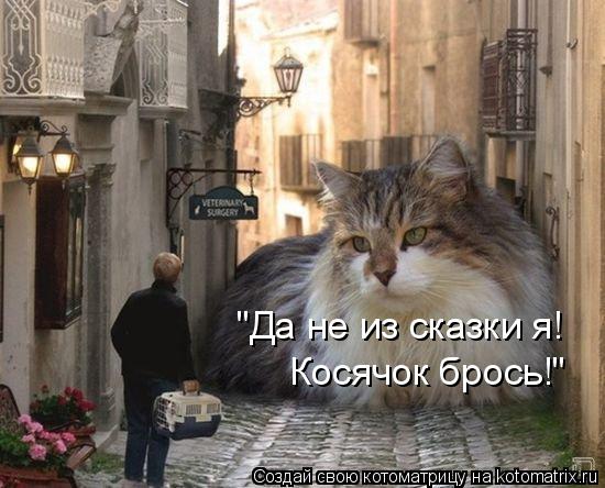 "Да не из сказки я! Косячок брось!"... Котоматрица: "Да не из сказки я! Косячок брось!"