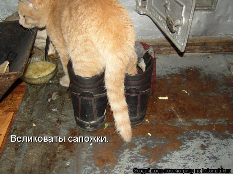 Великоваты сапожки.... Котоматрица: Великоваты сапожки.