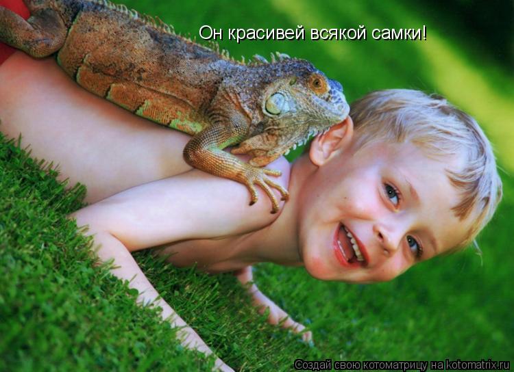 Он красивей всякой самки!... Котоматрица: Он красивей всякой самки!