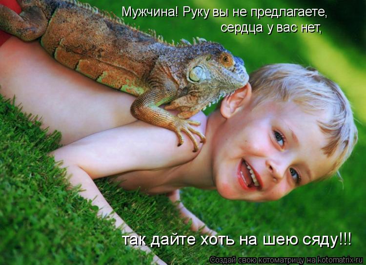 Мужчина! Руку вы не предлагаете, сердца у вас нет, так дайте хоть на шею сяду!!!... Котоматрица: Мужчина! Руку вы не предлагаете, сердца у вас нет, так дайте хоть на шею сяду!!!