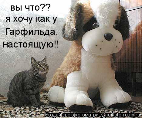 вы что?? я хочу как у Гарфильда, настоящую!!... Котоматрица: вы что?? я хочу как у Гарфильда, настоящую!!