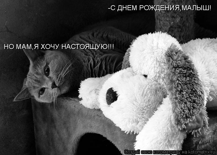 -С ДНЕМ РОЖДЕНИЯ,МАЛЫШ! НО МАМ,Я ХОЧУ НАСТОЯЩУЮ!!!... Котоматрица: -С ДНЕМ РОЖДЕНИЯ,МАЛЫШ! НО МАМ,Я ХОЧУ НАСТОЯЩУЮ!!!