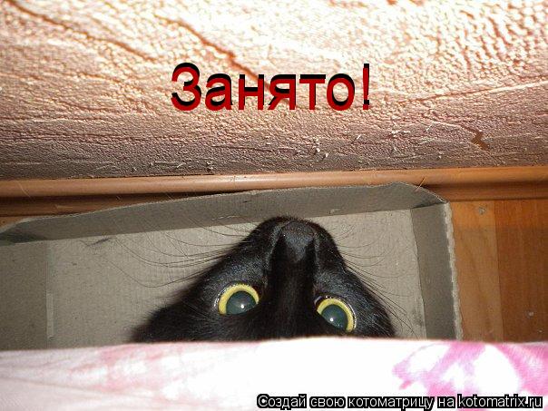 Занято! Занято!... Котоматрица: Занято! Занято!