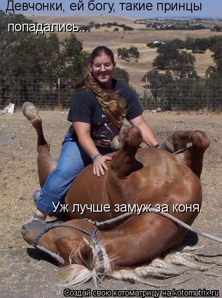 Девчонки, ей богу, такие принцы попадались... Уж лучше замуж за коня.... Котоматрица: Девчонки, ей богу, такие принцы попадались... Уж лучше замуж за коня.
