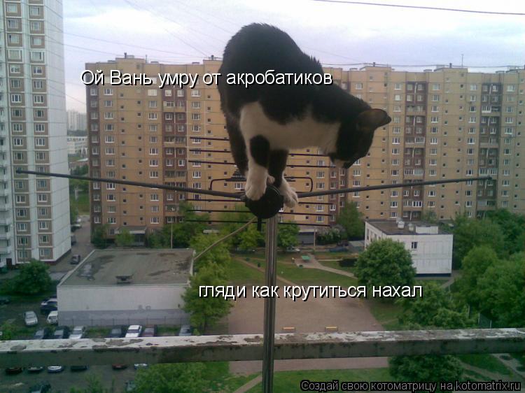 Ой Вань умру от акробатиков гляди как крутиться нахал... Котоматрица: Ой Вань умру от акробатиков гляди как крутиться нахал