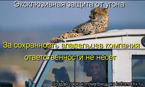 Эксклюзивная защита от угона За сохранность владельцев компания ответственности не несет... Котоматрица: Эксклюзивная защита от угона За сохранность владельцев компания ответственности не несет
