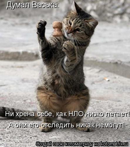 Думал Васька: Ни хрена себе, как НЛО низко летает! А они его отследить никак немогут!... Котоматрица: Думал Васька: Ни хрена себе, как НЛО низко летает! А они его отследить никак немогут!