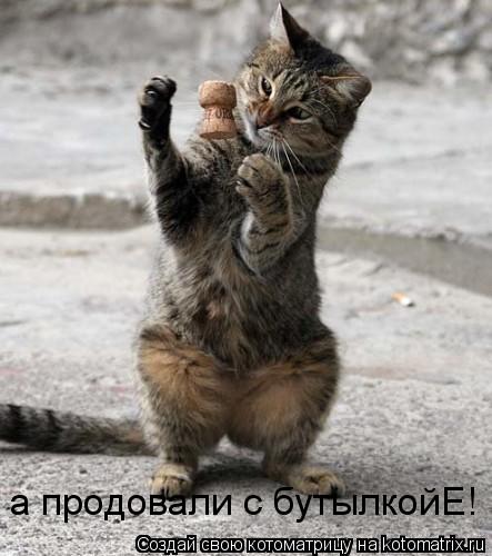 а продовали с бутылкойЕ!... Котоматрица: а продовали с бутылкойЕ!