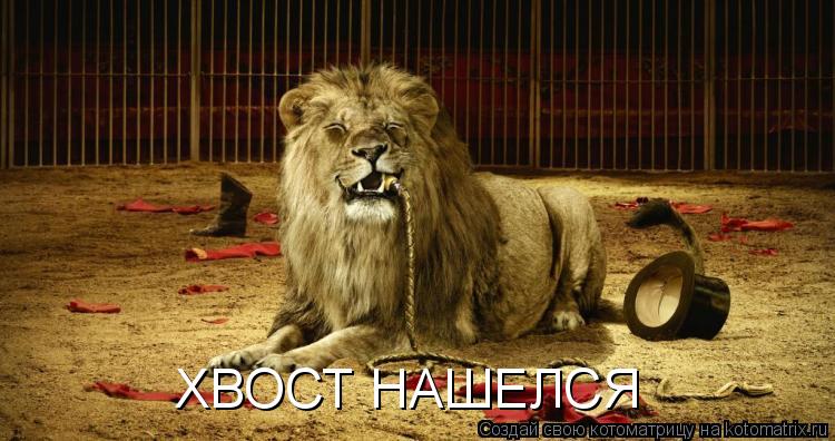 ХВОСТ НАШЕЛСЯ... Котоматрица: ХВОСТ НАШЕЛСЯ