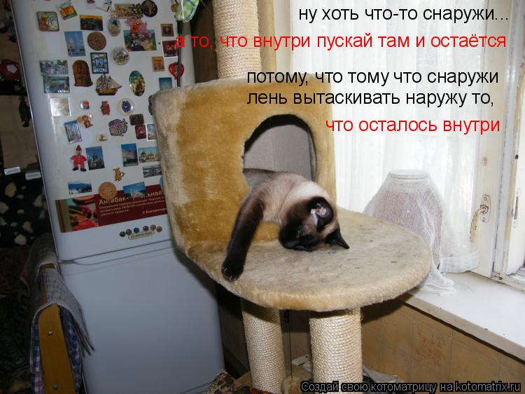 ну хоть что-то снаружи... потому, что тому что снаружи лень вытаскивать наружу то, ..а то, что внутри... Котоматрица: ну хоть что-то снаружи... потому, что тому что снаружи лень вытаскивать наружу то, ..а то, что внутри пускай там и остаётся что осталось внутри