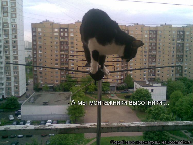 - А мы монтажники высотники....... Котоматрица: - А мы монтажники высотники....