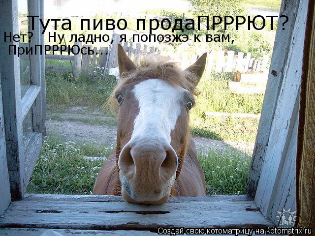 Тута пиво продаПРРРЮТ? Нет? Ну ладно, я попозжэ к вам, ПриПРРРЮсь...... Котоматрица: Тута пиво продаПРРРЮТ? Нет? Ну ладно, я попозжэ к вам, ПриПРРРЮсь...