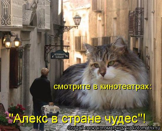 смотрите в кинотеатрах: "Алекс в стране чудес"!... Котоматрица: смотрите в кинотеатрах: "Алекс в стране чудес"!