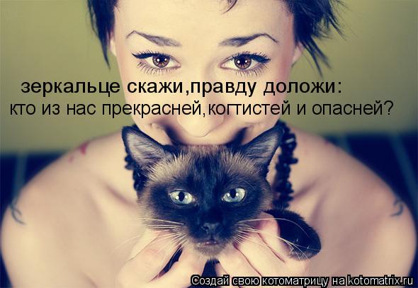 зеркальце скажи,правду доложи: кто из нас прекрасней,когтистей и опасней?... Котоматрица: зеркальце скажи,правду доложи: кто из нас прекрасней,когтистей и опасней?