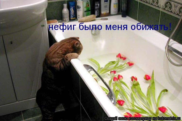 нефиг было меня обижать!... Котоматрица: нефиг было меня обижать!