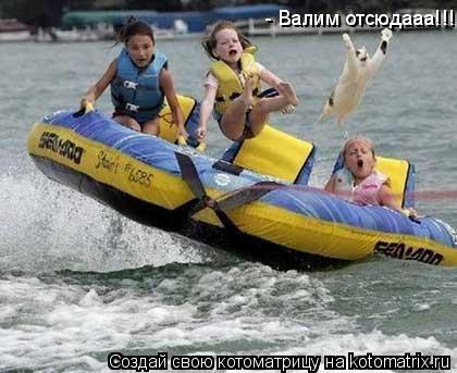 Котоматрица: - Валим отсюдааа!!!