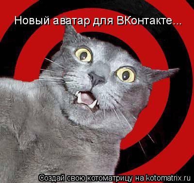 Новый аватар для ВКонтакте...... Котоматрица: Новый аватар для ВКонтакте...